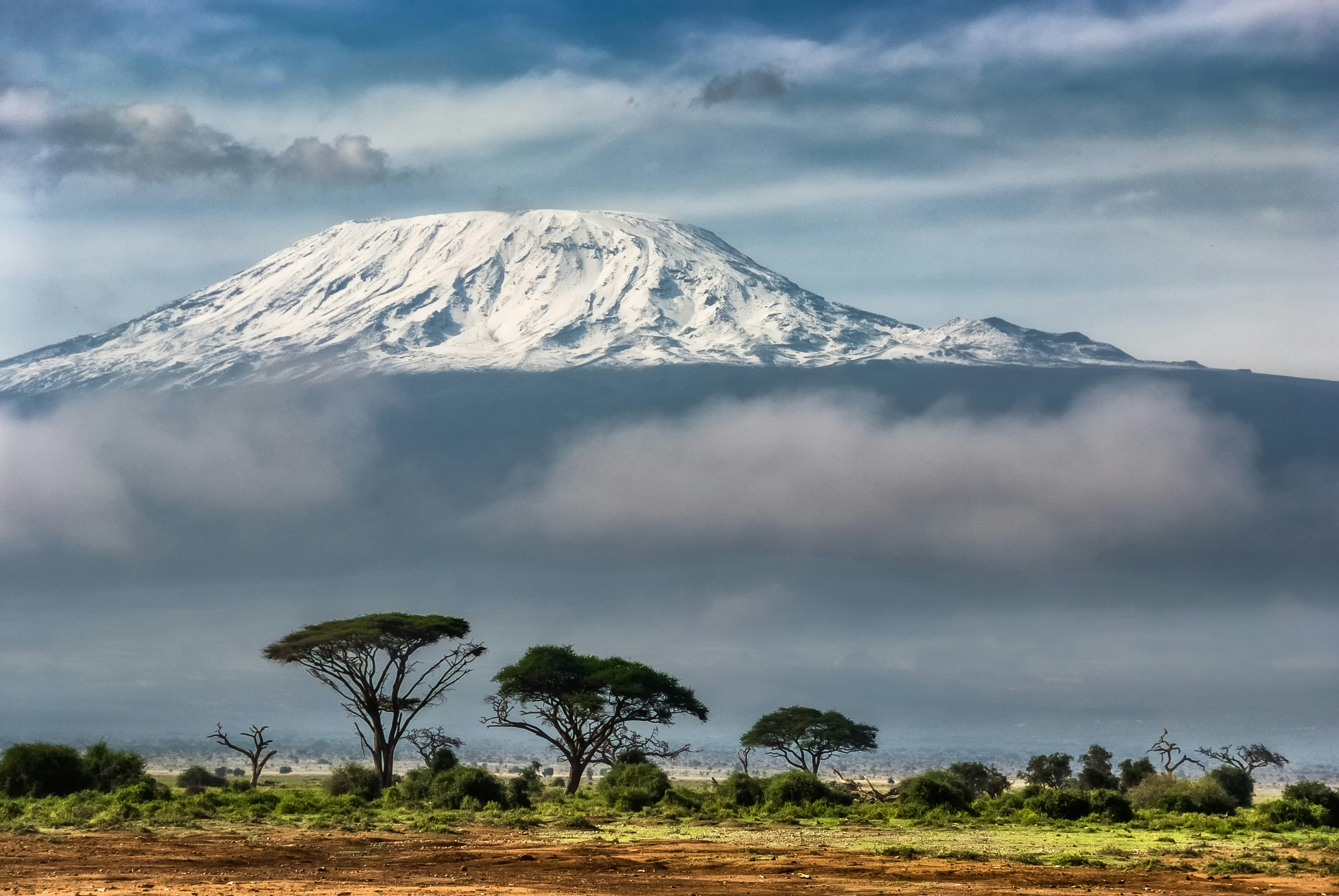 El Kilimanjaro: La Transición de Mundos hacia el Techo de África